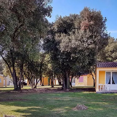 Stunning In Saint-Savinien